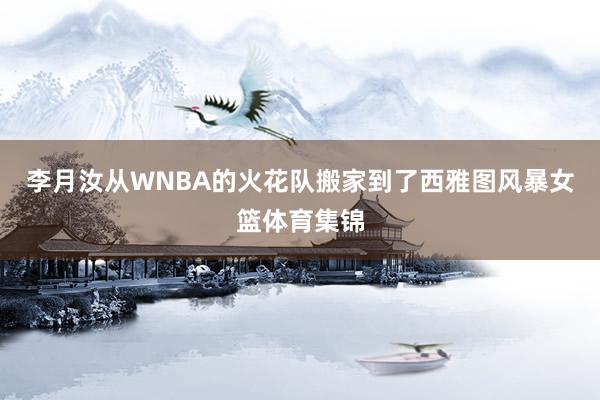 李月汝从WNBA的火花队搬家到了西雅图风暴女篮体育集锦