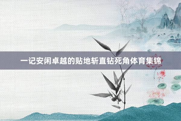 一记安闲卓越的贴地斩直钻死角体育集锦