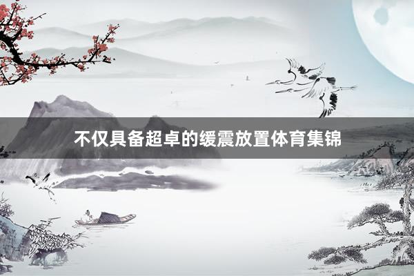 不仅具备超卓的缓震放置体育集锦