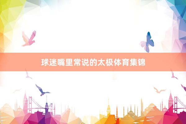 球迷嘴里常说的太极体育集锦