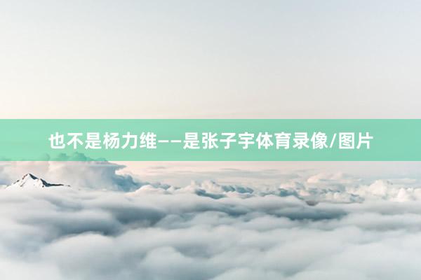 也不是杨力维——是张子宇体育录像/图片