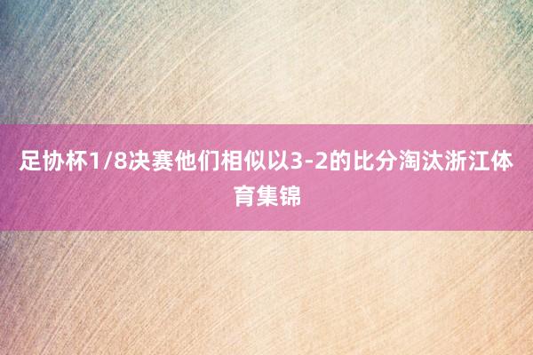 足协杯1/8决赛他们相似以3-2的比分淘汰浙江体育集锦