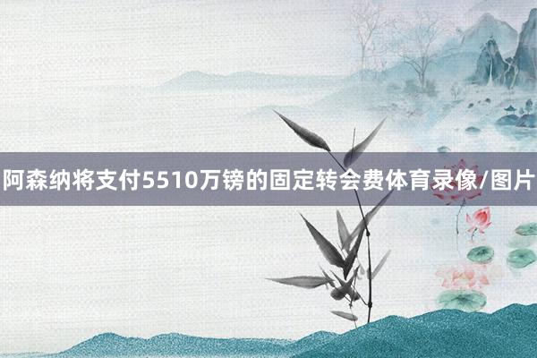 阿森纳将支付5510万镑的固定转会费体育录像/图片