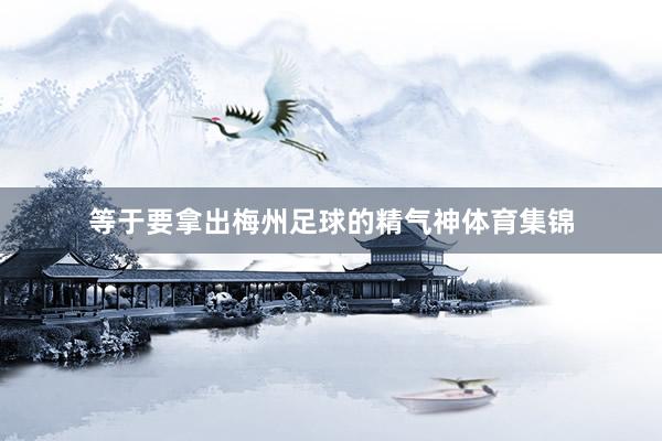 等于要拿出梅州足球的精气神体育集锦
