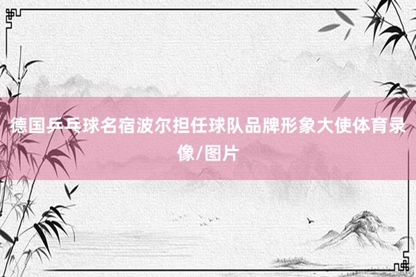 德国乒乓球名宿波尔担任球队品牌形象大使体育录像/图片