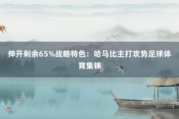 伸开剩余65%战略特色：哈马比主打攻势足球体育集锦