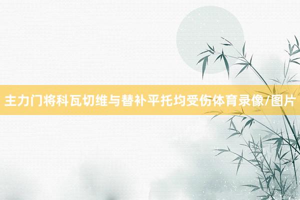 主力门将科瓦切维与替补平托均受伤体育录像/图片