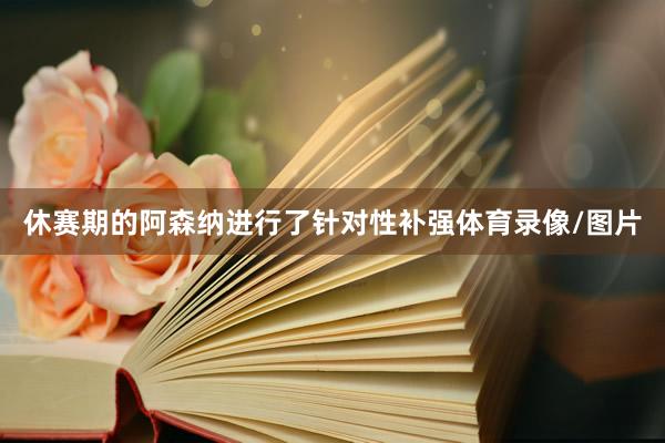 休赛期的阿森纳进行了针对性补强体育录像/图片