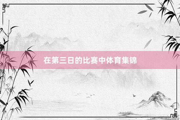 在第三日的比赛中体育集锦