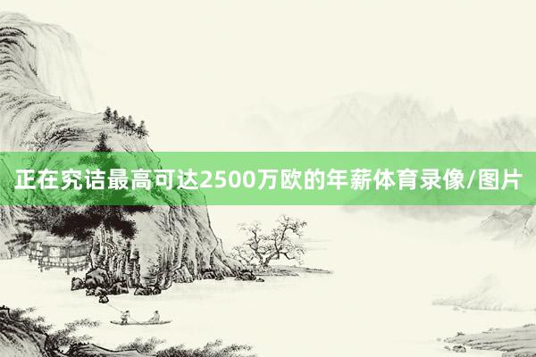 正在究诘最高可达2500万欧的年薪体育录像/图片