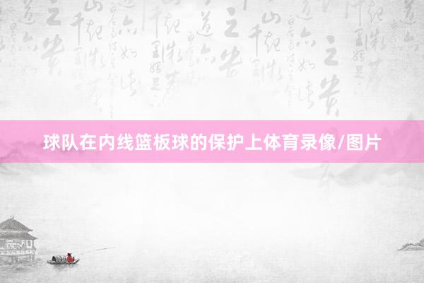 球队在内线篮板球的保护上体育录像/图片
