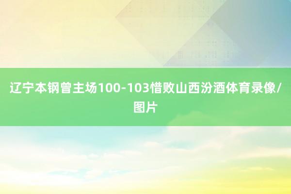 辽宁本钢曾主场100-103惜败山西汾酒体育录像/图片