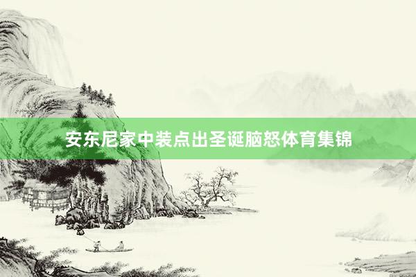 安东尼家中装点出圣诞脑怒体育集锦