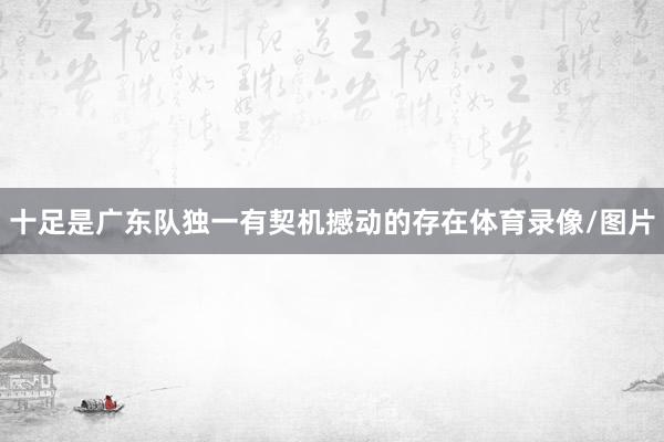 十足是广东队独一有契机撼动的存在体育录像/图片