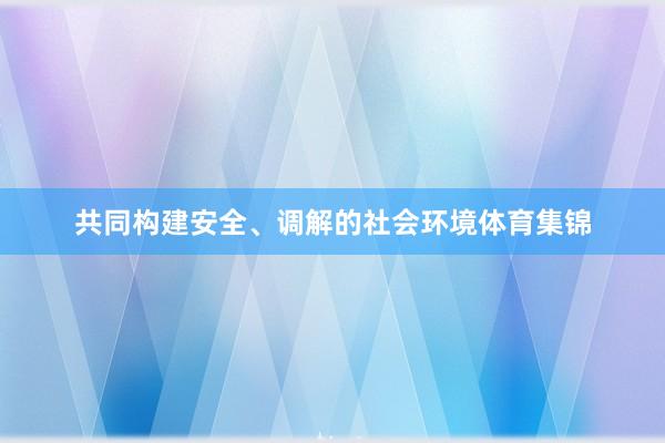 共同构建安全、调解的社会环境体育集锦