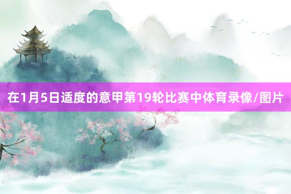 在1月5日适度的意甲第19轮比赛中体育录像/图片