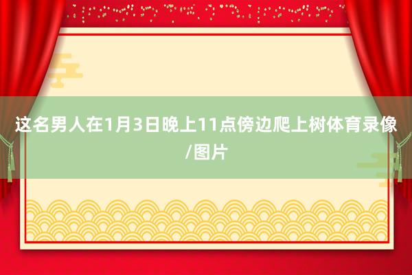 这名男人在1月3日晚上11点傍边爬上树体育录像/图片