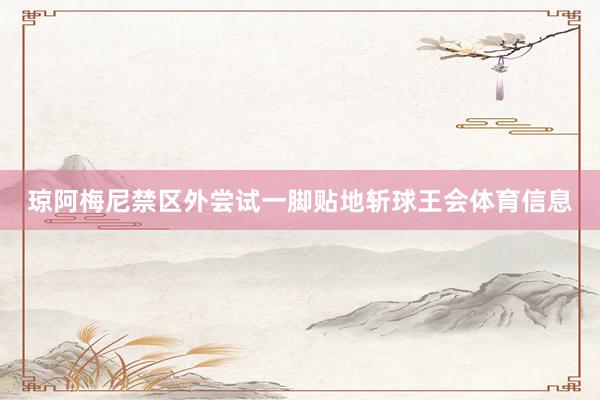 琼阿梅尼禁区外尝试一脚贴地斩球王会体育信息