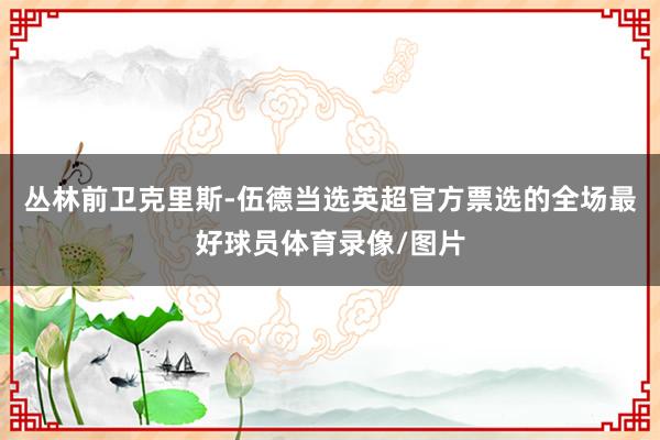 丛林前卫克里斯-伍德当选英超官方票选的全场最好球员体育录像/图片