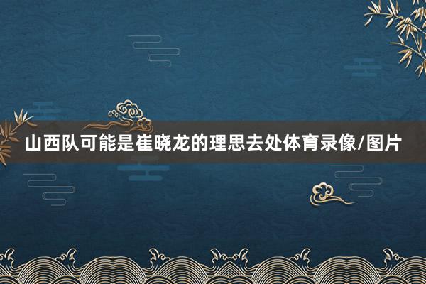 山西队可能是崔晓龙的理思去处体育录像/图片