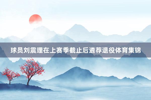 球员刘震理在上赛季截止后遴荐退役体育集锦
