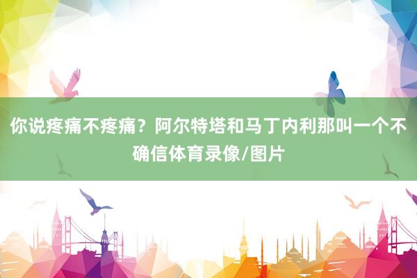 你说疼痛不疼痛？阿尔特塔和马丁内利那叫一个不确信体育录像/图片