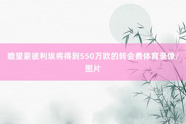 瞻望蒙彼利埃将得到550万欧的转会费体育录像/图片