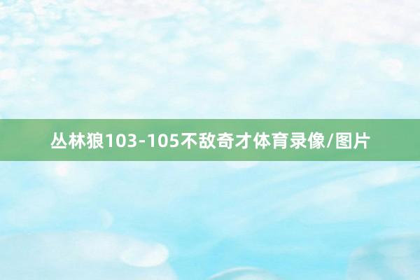 丛林狼103-105不敌奇才体育录像/图片