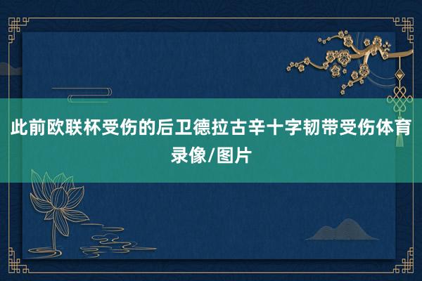 此前欧联杯受伤的后卫德拉古辛十字韧带受伤体育录像/图片