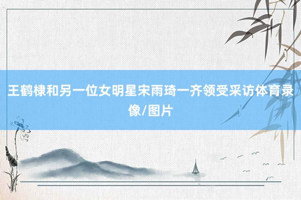 王鹤棣和另一位女明星宋雨琦一齐领受采访体育录像/图片