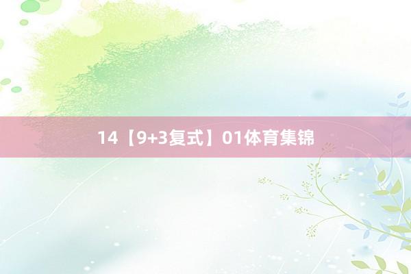 14　　【9+3复式】01体育集锦