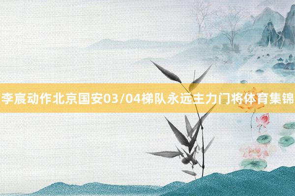 李宸动作北京国安03/04梯队永远主力门将体育集锦