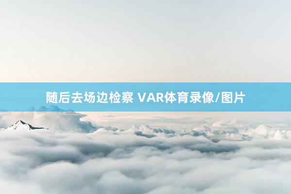 随后去场边检察 VAR体育录像/图片