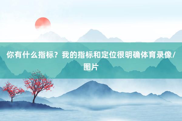 你有什么指标?我的指标和定位很明确体育录像/图片