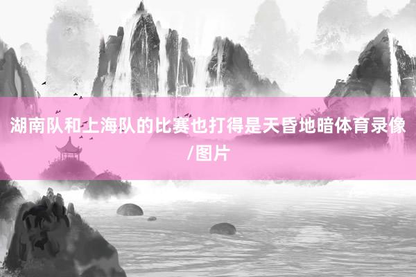 湖南队和上海队的比赛也打得是天昏地暗体育录像/图片