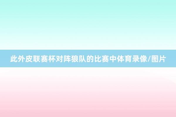 此外皮联赛杯对阵狼队的比赛中体育录像/图片