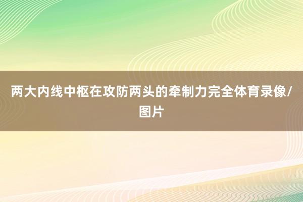 两大内线中枢在攻防两头的牵制力完全体育录像/图片