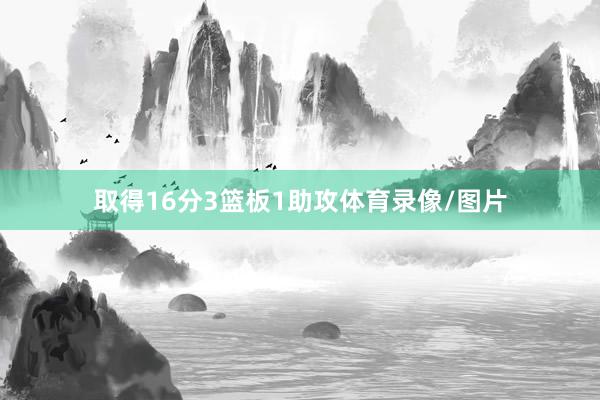 取得16分3篮板1助攻体育录像/图片